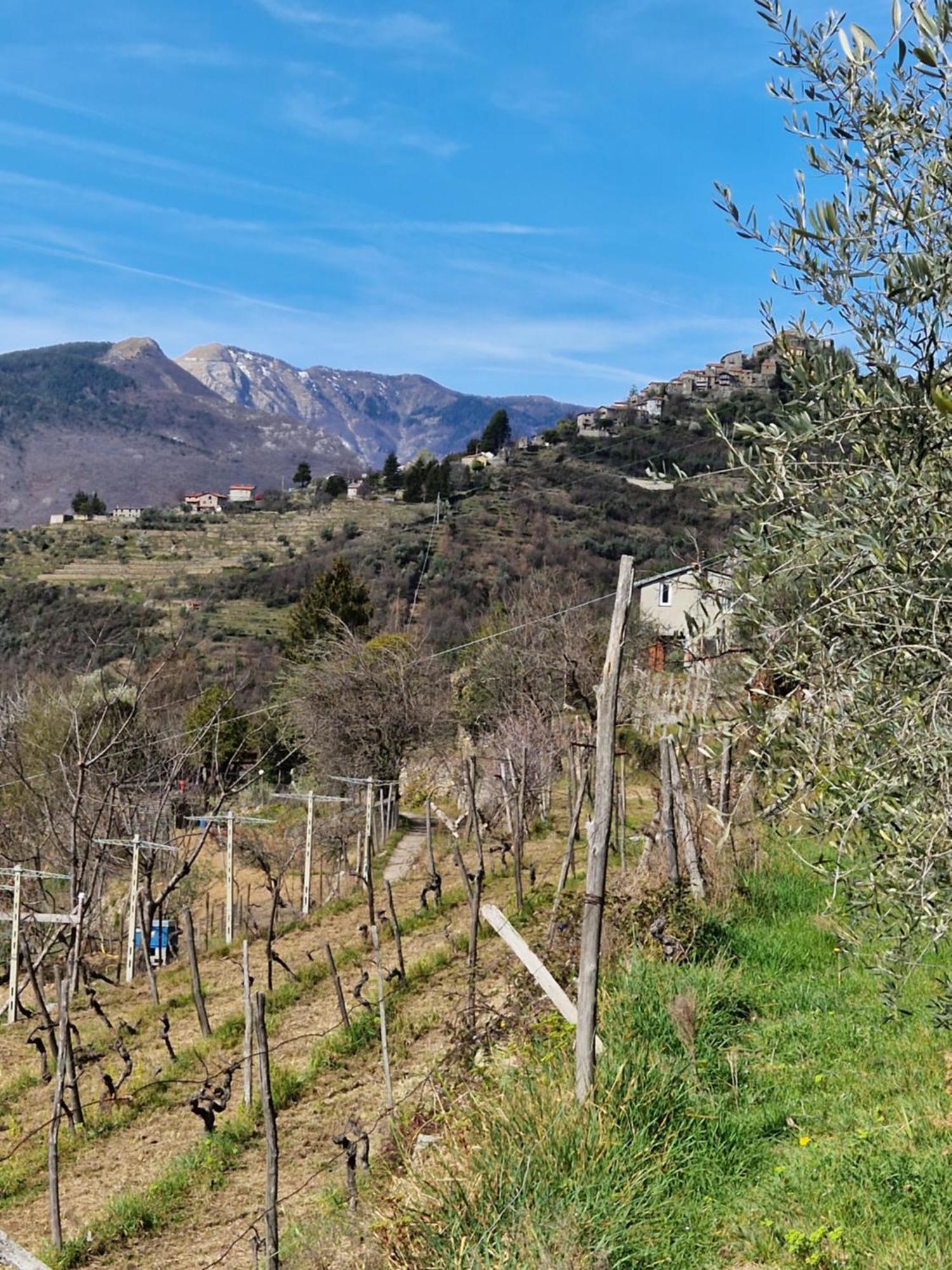 Casa Nonna Chiarina Appartement Molini di Triora Buitenkant foto