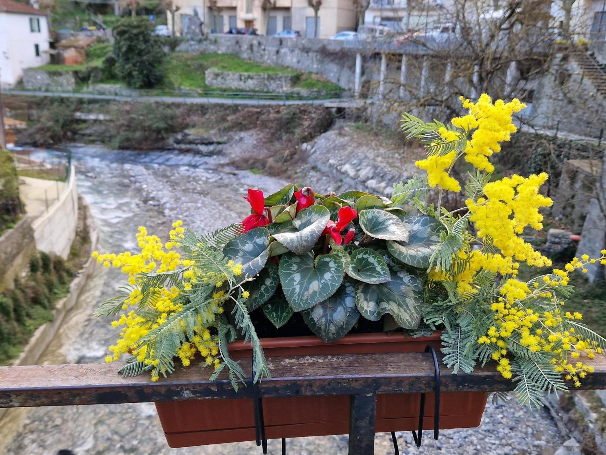 Casa Nonna Chiarina Appartement Molini di Triora Buitenkant foto